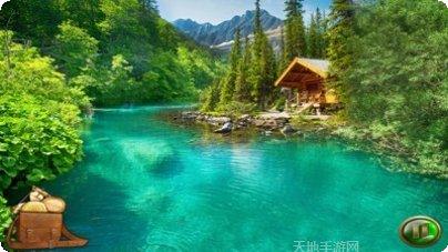 孤独的小鸟下载地址