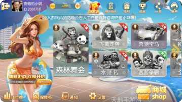 傲玩大玩家下载