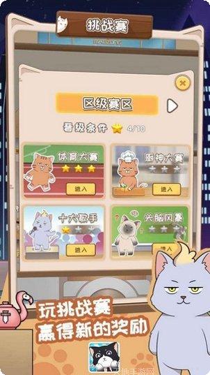 猫总大厦下载