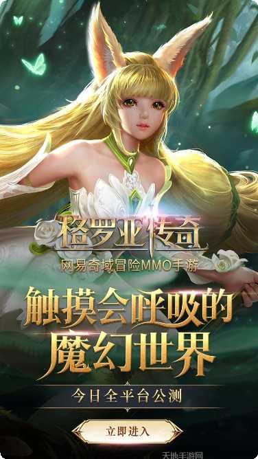 格罗亚传奇装备搭配