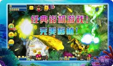 516金蟾捕鱼最新版本