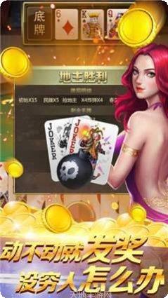牛牛金花在线对战