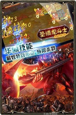 圣域龙斗士技能升级