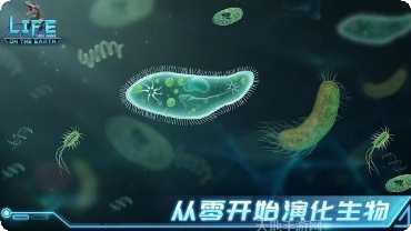 地球上最后的羊村玩法介绍