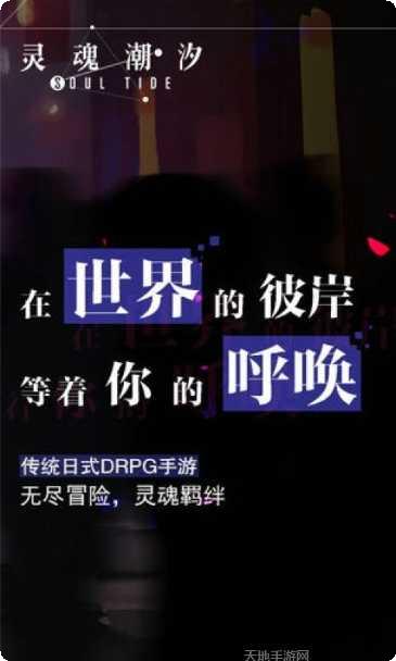 灵魂潮汐装备搭配