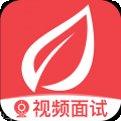 青云沧海新手教程