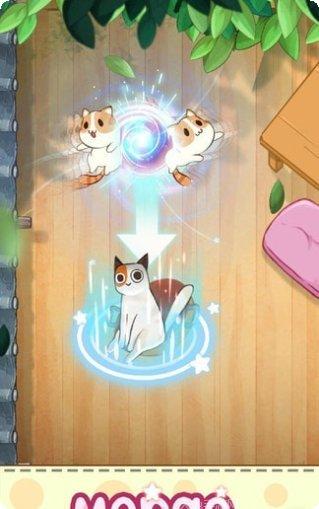 猫咪合十最新版本