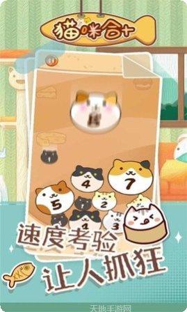 猫咪合十玩家心得