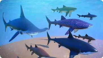 超级海扁王攻略