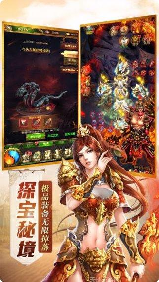 图片4