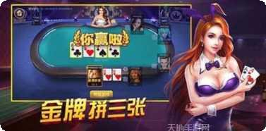 天天自摸棋牌下载