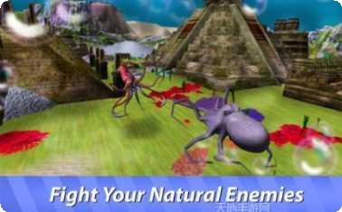 大王乌贼模拟器攻略