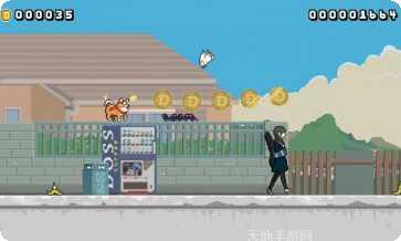 柴柴酷跑下载最新版