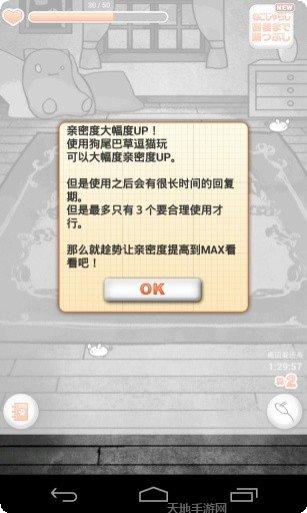 猫咪日记下载地址
