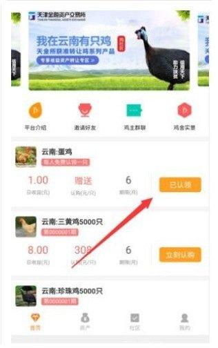 鸡社区模拟经营
