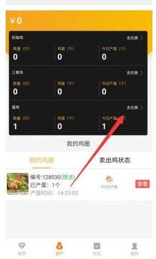 鸡社区宠物养成