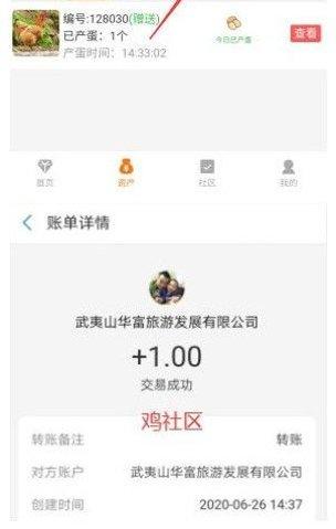 鸡社区趣味挑战