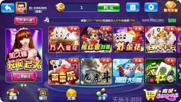 九五至尊游戏评测