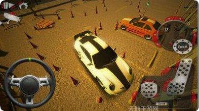 真实泊车4最新版本