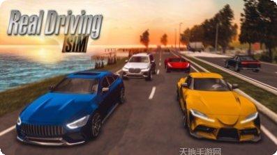 真实驾驶模拟体验