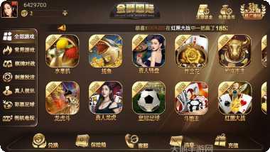 金狮国际角色选择指南