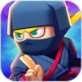 真功夫忍者