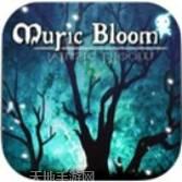 大琴师贰