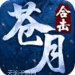 苍月合击传奇