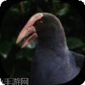 SEEK寻境