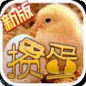 小鸡头淮安掼蛋