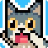 猫咪跳跳跳