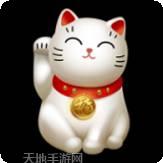 萌宠养成日记