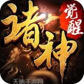 诸神觉醒飞升版