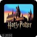 哈利波特霍洛茨魔法之谜