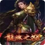 龙魂之神