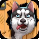 二哈拆家王