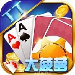 丁丁大菠萝
