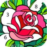 数字绘画2021