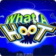 猫头鹰乐园