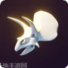 考古挖化石发现