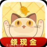 开心斗猫猫