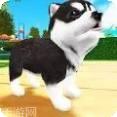 3D狗间谍