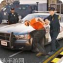 虚拟警察警与匪