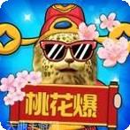 金钱豹2048