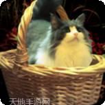 被囚禁的光