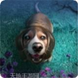 露西的衣柜