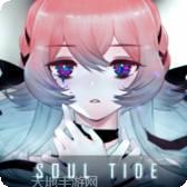 灵魂潮汐vivo版