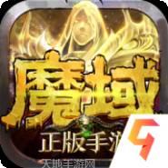 三国志W