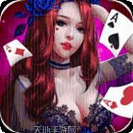 金碧悦棋牌