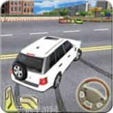 普拉多停车